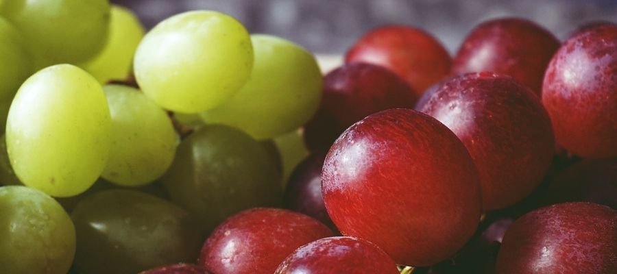 close up of red and green grapes