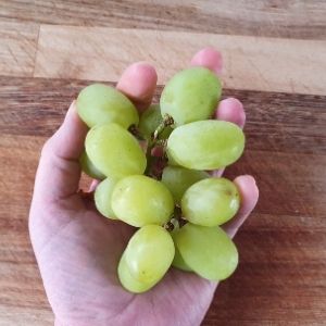 handful of grapes