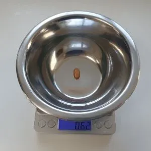 weight of one baked bean