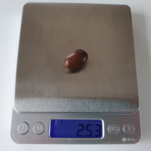 image to show a peanut m&m on a weighing scale