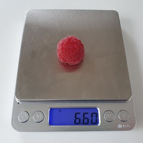 Weighing one fresh raspberry