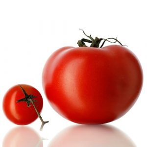 example of a large tomato