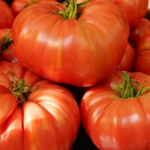 example of beefsteak tomatoes