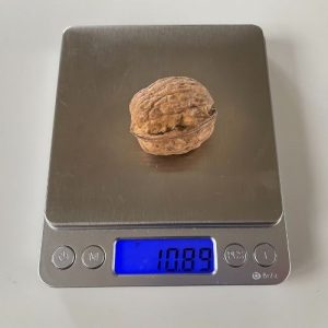 whole walnut on a scale to show it weighs around 11g