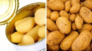canned potatoes on the left and fresh potatoes on the right to show the difference between the two