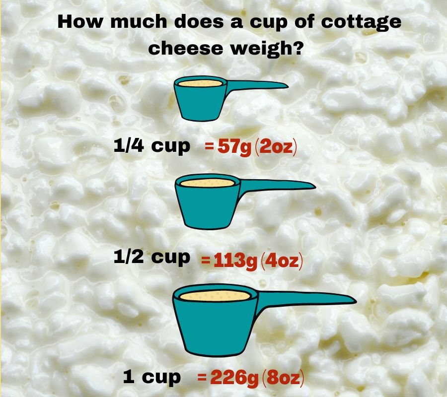 infographic to show the weight of 1/4, full and half a cup of cottage cheese
