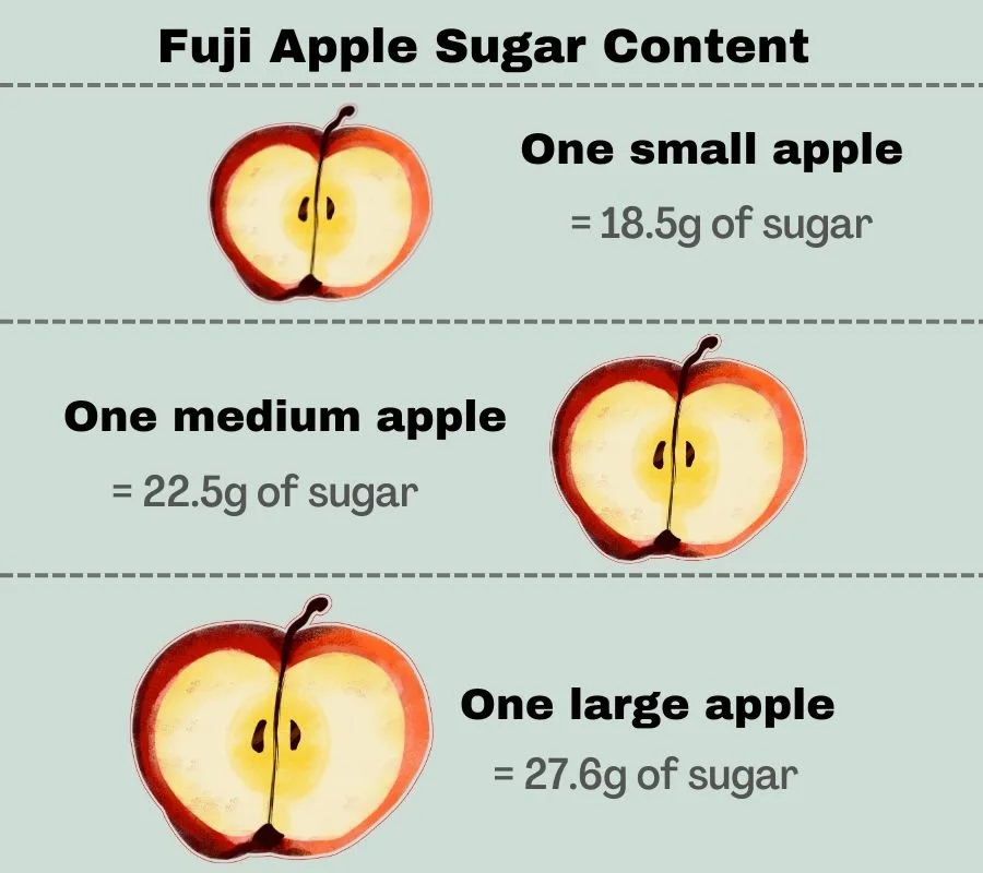 infographic to show the sugar content of a small, medium, and large fuji apple