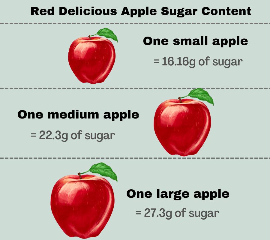 infographic to show the sugar content of a small, medium and large red delicious apple