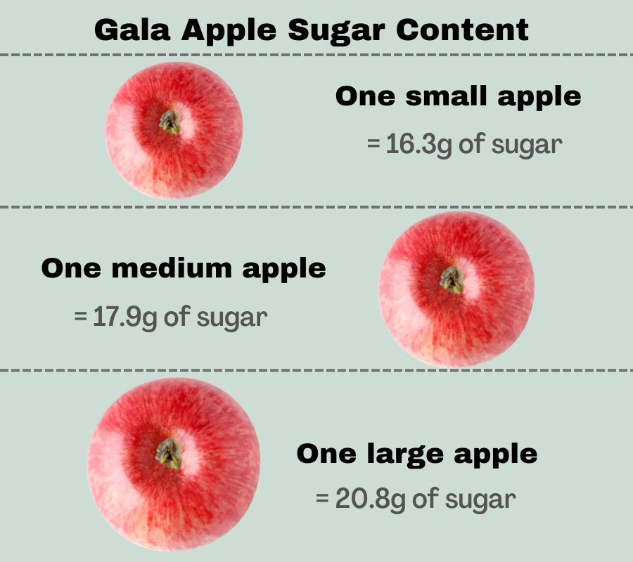 infographic to show the sugar content of a small, medium and large gala apple