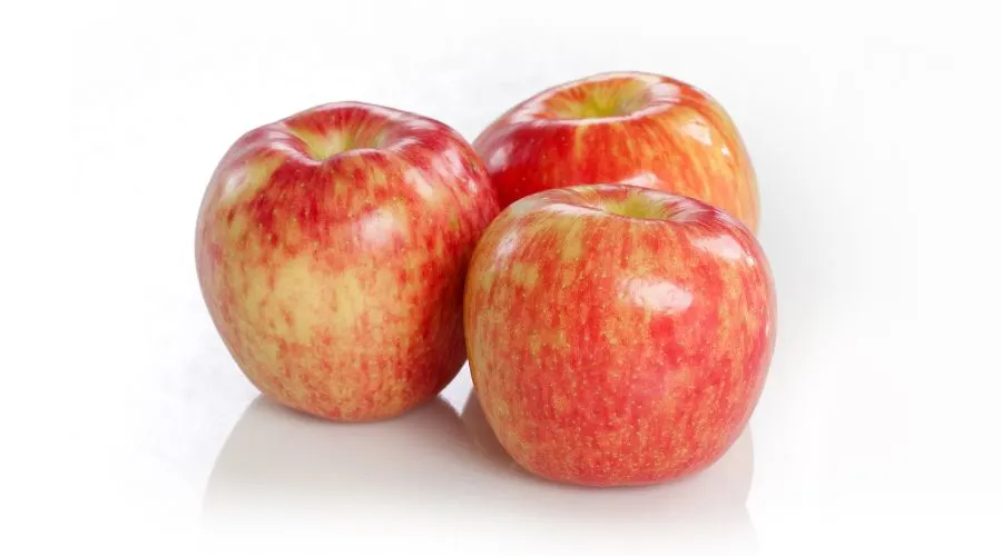 Example of a Honeycrisp apple