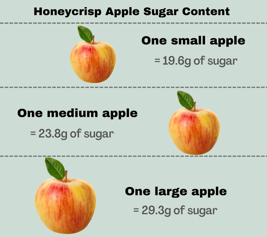 Infographic to show the sugar content of a small, medium and large Honeycrisp apple