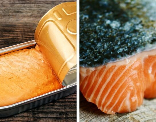 Canned Salmon vs Fresh Salmon