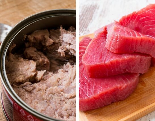 Canned tuna vs Fresh tuna