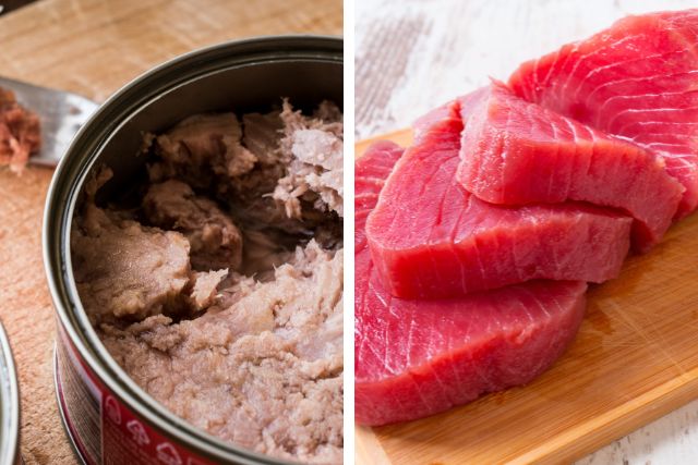Canned tuna vs Fresh tuna