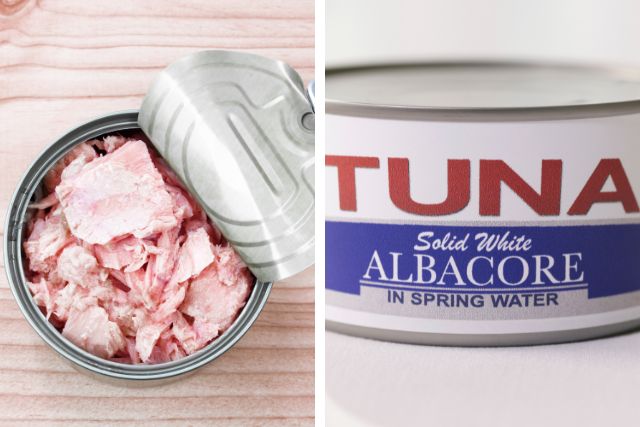 Skipjack vs Albacore Canned Tuna
