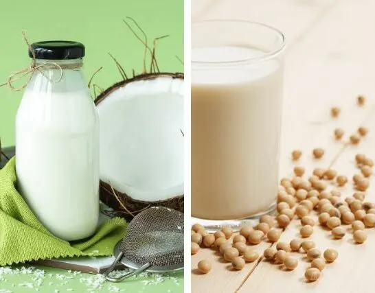 Coconut Milk vs Soy Milk