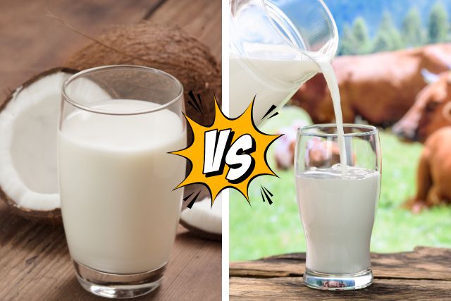Coconut Milk vs. Cow Milk