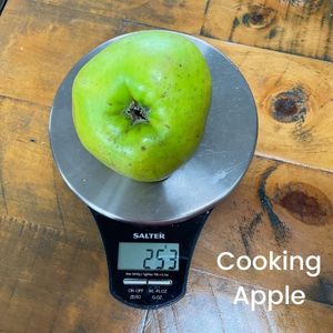 image to show a cooking apple on a scale weighs 253g