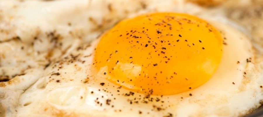 close up of a fried egg