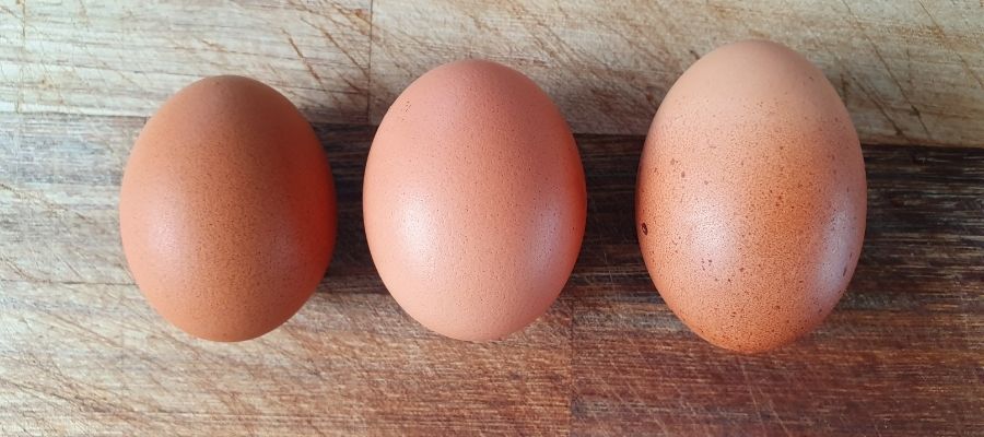 medium, large and very large eggs