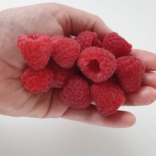 Handful of fresh raspberries