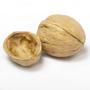 whole walnut and half an empty shell