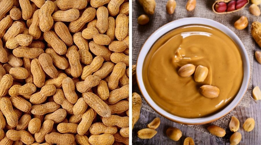 peanuts on the left and peanut butter on the right to show the difference between the two